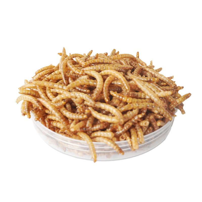 Food Snacks With High Protein - Hochprotein-Snacks für Hamster, Vögel, Igel, Meerschweinchen,