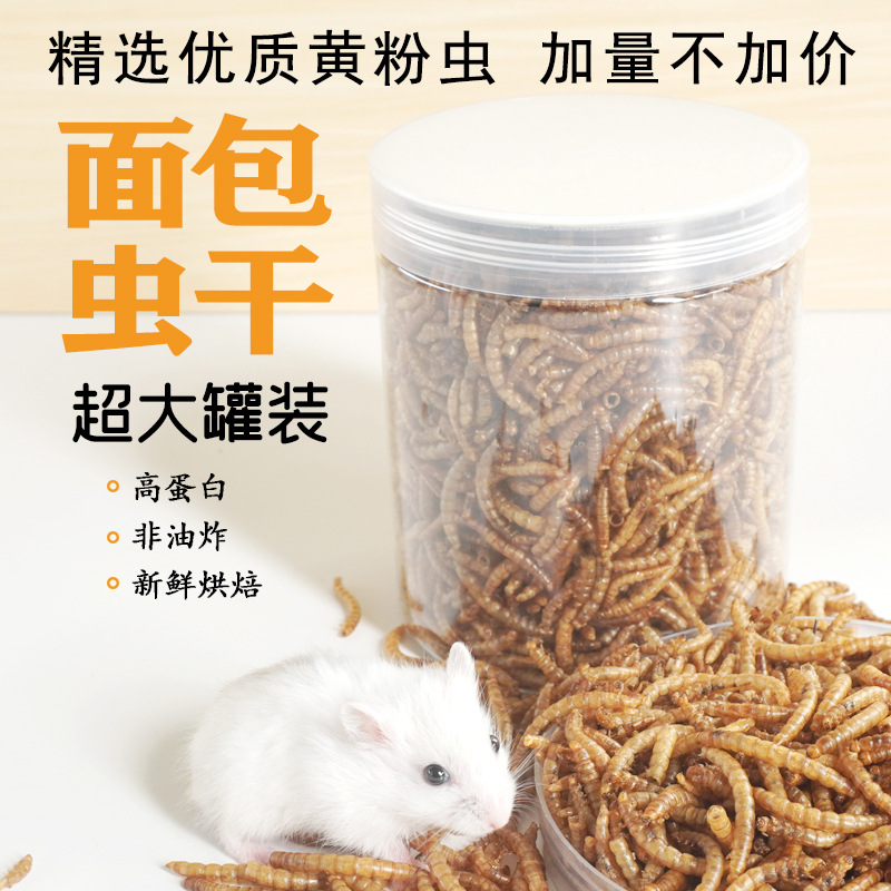 Hochprotein-Snacks für Hamster – Food Snacks With High Protein Bewertung und Preis